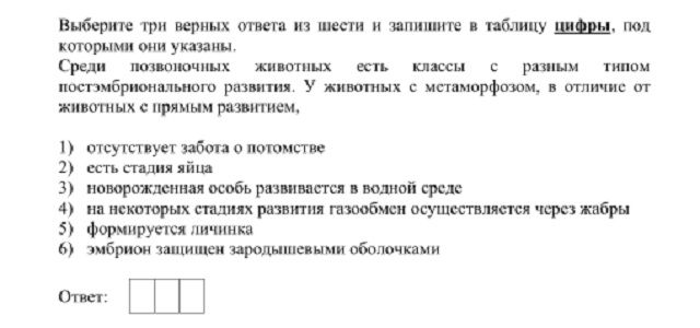 Адрес сайта гидра