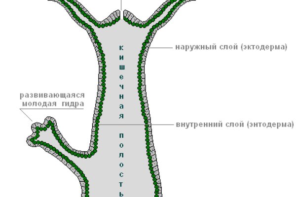 Кракен ссылка 2web