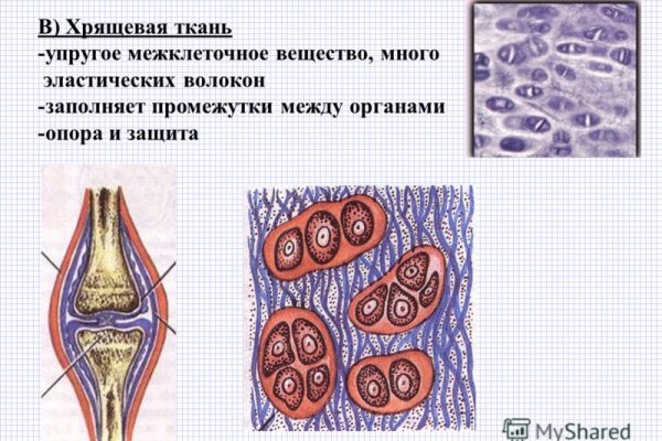 Kraken com в обход