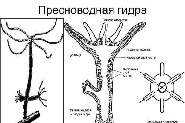 Кракен сайт в обход блокировки krmp.cc