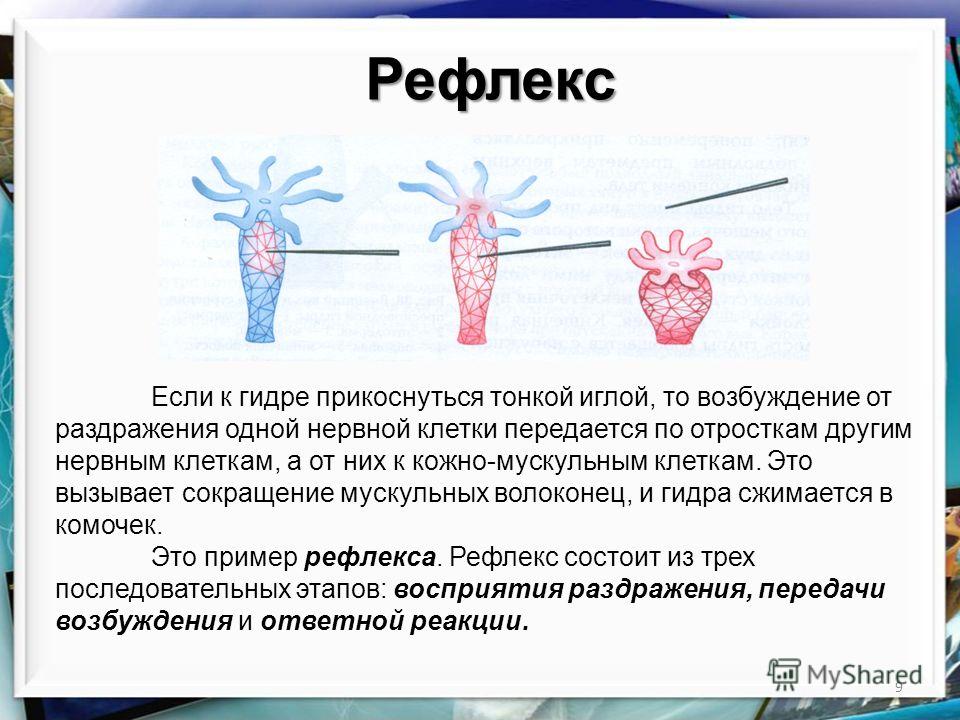 Почему кракен не блокируют